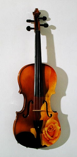 The Rose of Violin von Myung-Bo  Sim