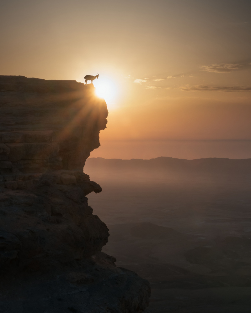 Desert Sunrise von Nadav Jonas