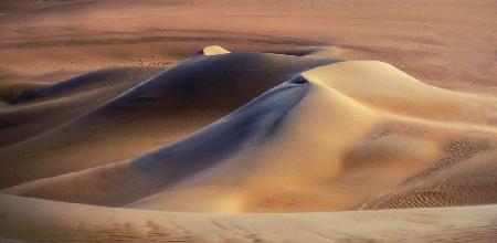 siwa oasis