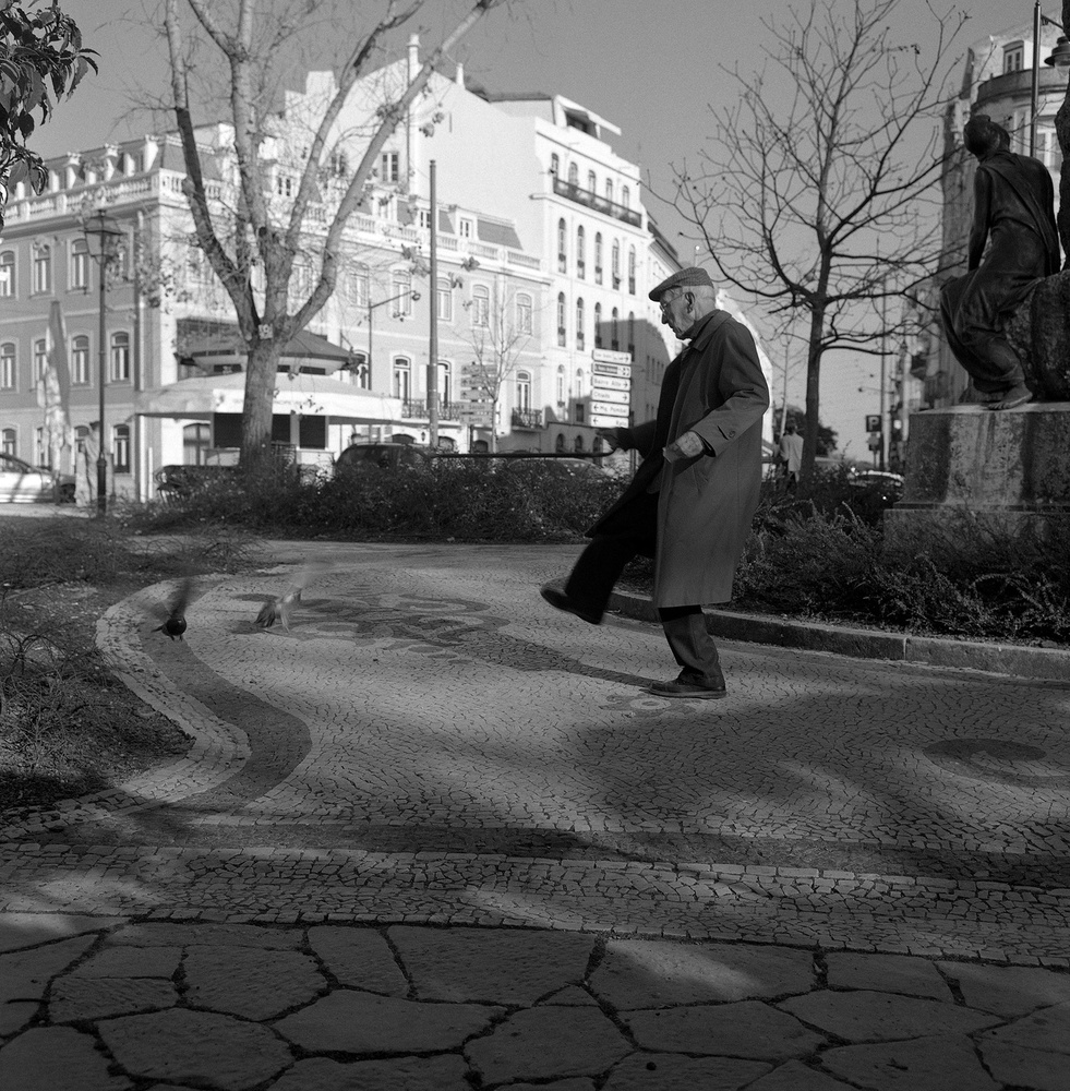 Dances with pigeons von Nana Sousa Dias