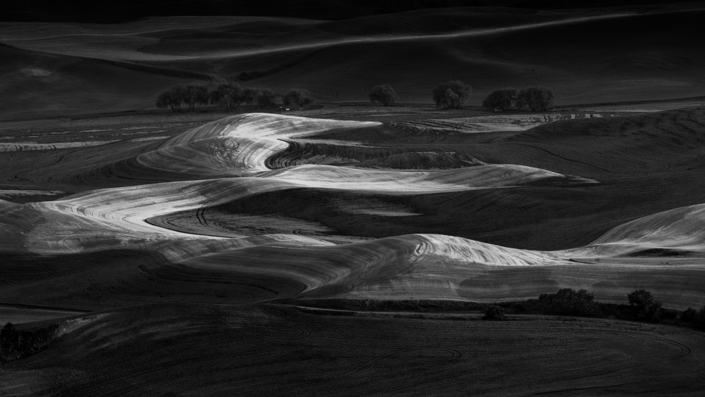 The View Of Palouse von NanZ