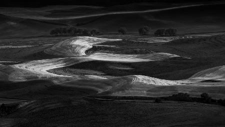 The View Of Palouse