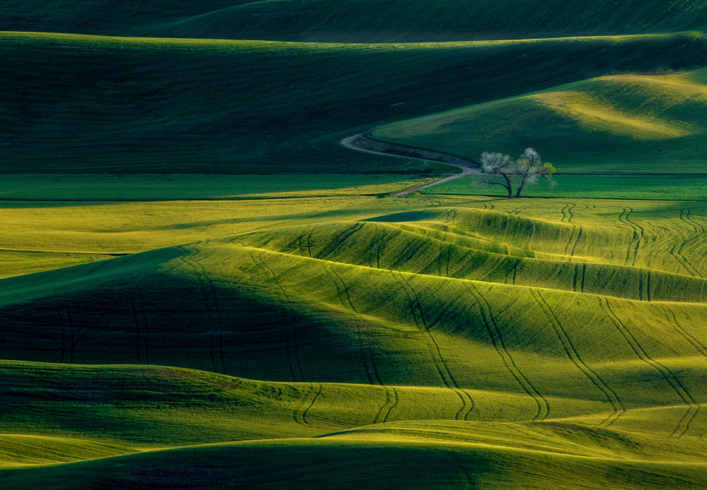 The View Of Palouse von NanZ