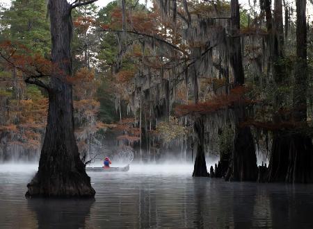 Foggy Lake