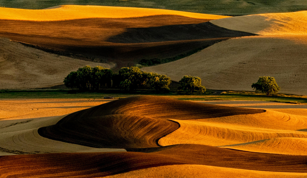 Palouse Field von NanZ