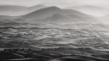 Palouse Field