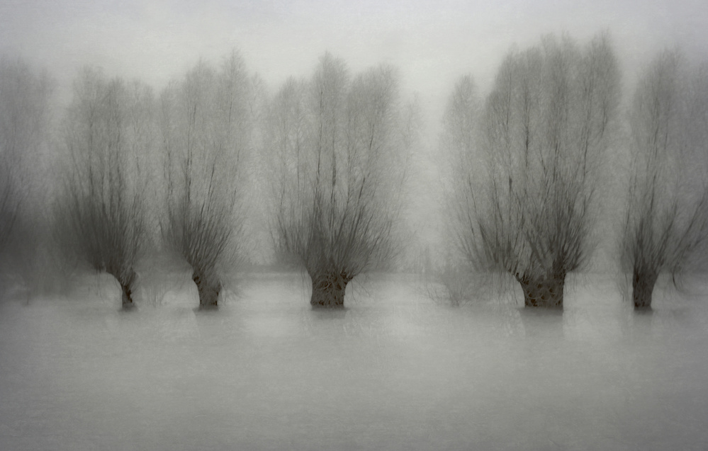 High water von Nel Talen