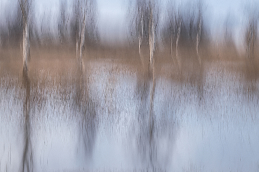 After the rain von Nel Talen