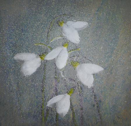 Snowdrops