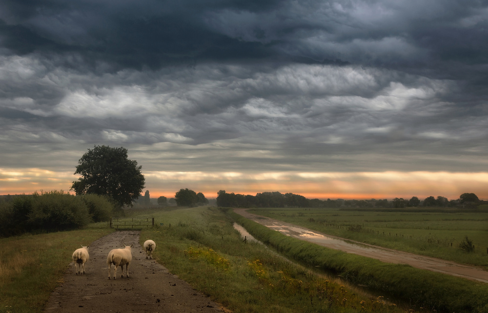 Waving clouds von Nel Talen