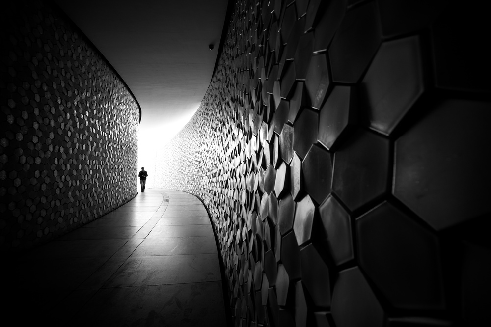 Coming from the light von Nelson Gonçalves