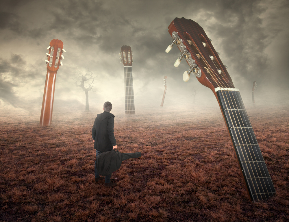 Guitar field von Nermin Smajic