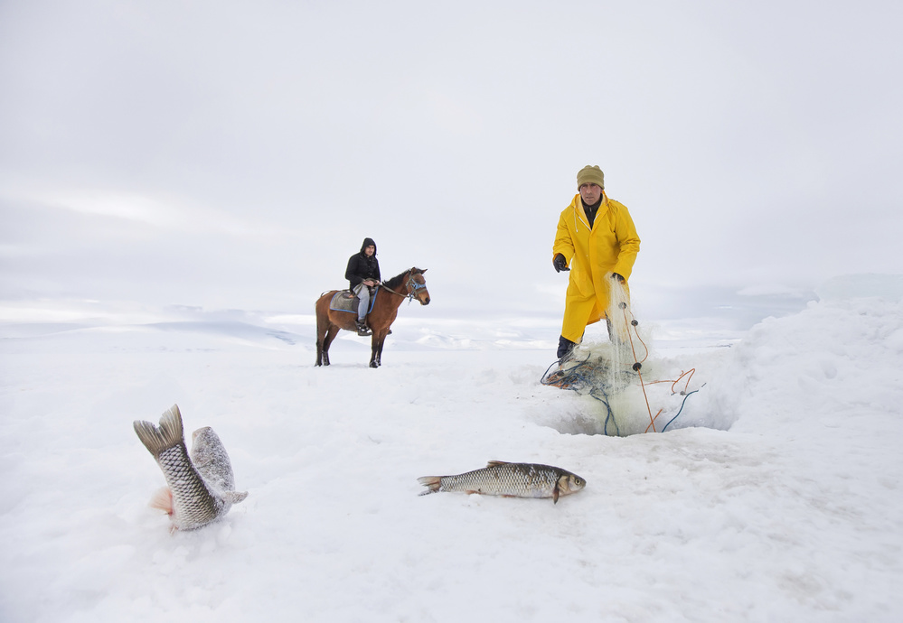 fisherman von Nese Ari