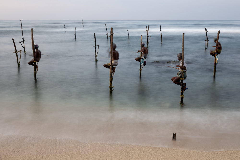 stilt fishermen von Nevra Topalismailoglu