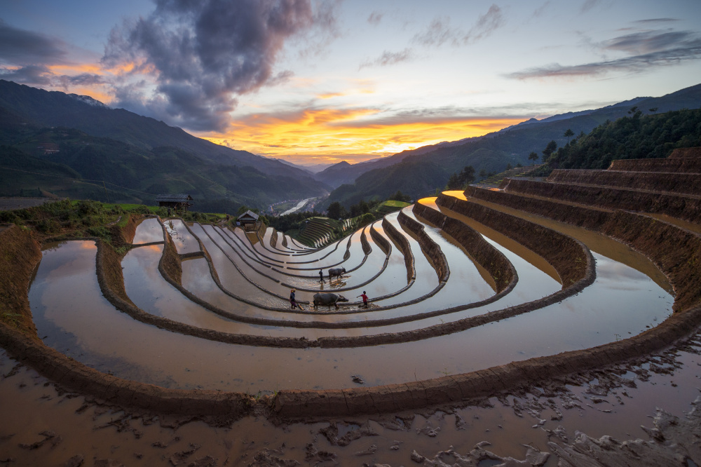 Working on terraces in Mu cang chai, Yen Bai von Ngo Trung Dung