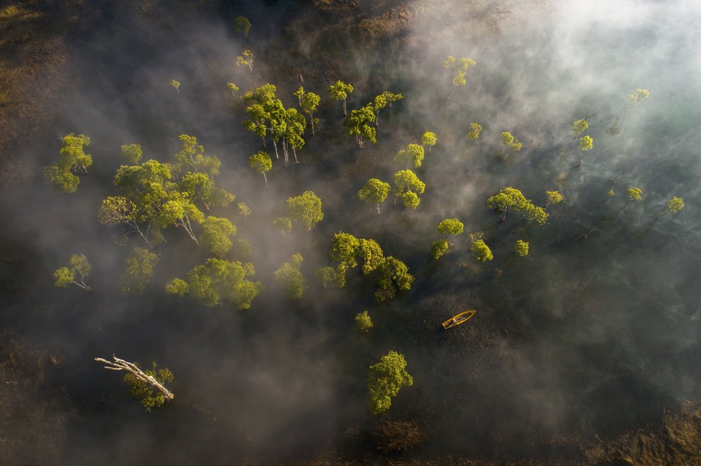 The color of spring von Ngo Trung Dung