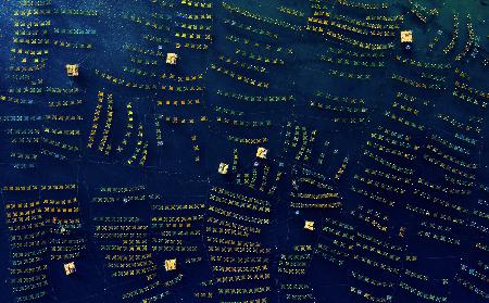 Cages for lobster at sea