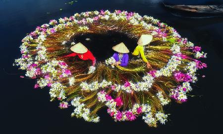 Girls washing water lilies