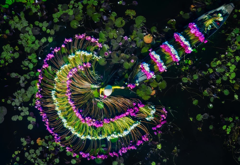 Wash water lily von Nguyen Tan Tuan