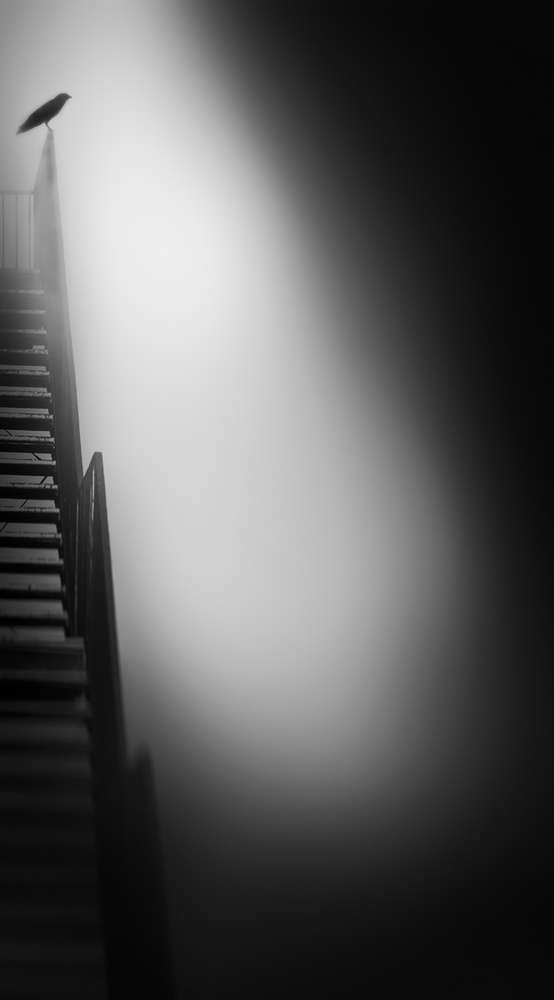 stairway to heaven von Nic Keller