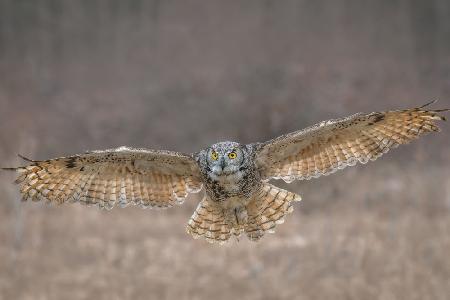 GHO in Flight