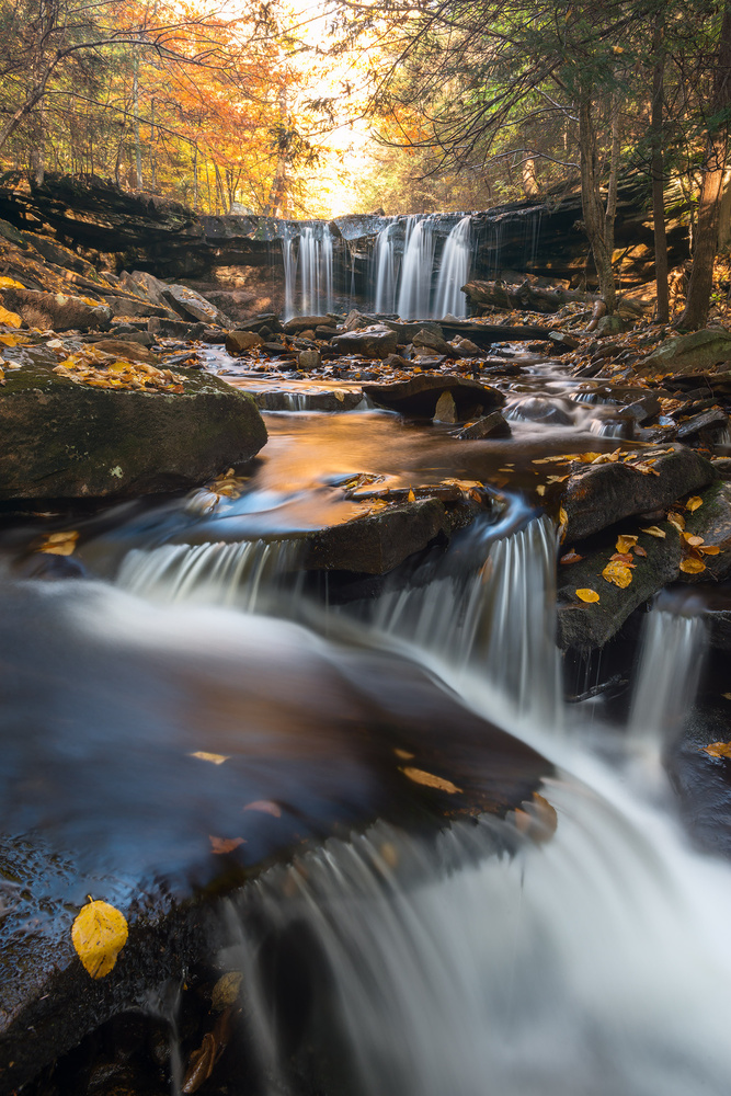 Autumn Symphony von Nick Kalathas