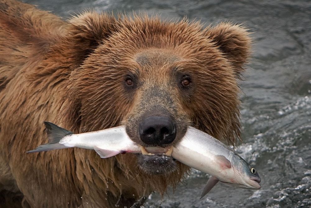 Mouthful von Nick Kalathas