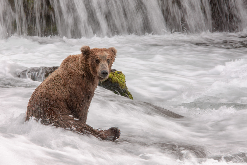 Time to Sit, Relax and Enjoy a Cold One... :) von Nick Kalathas