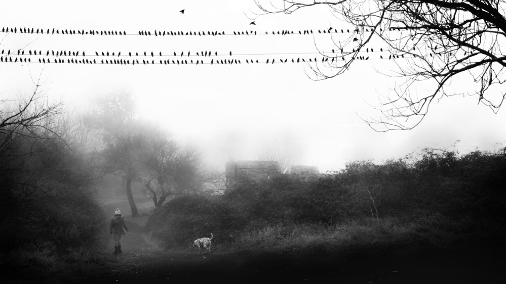 Walk in the fog von Nicodemo Quaglia