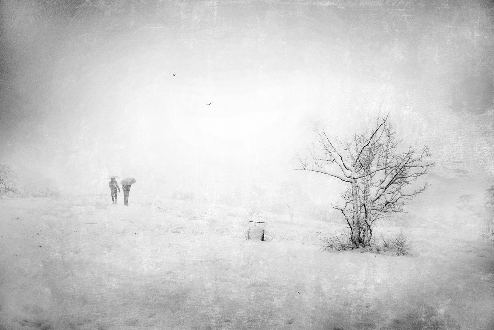 Snow in the park von Nicodemo Quaglia