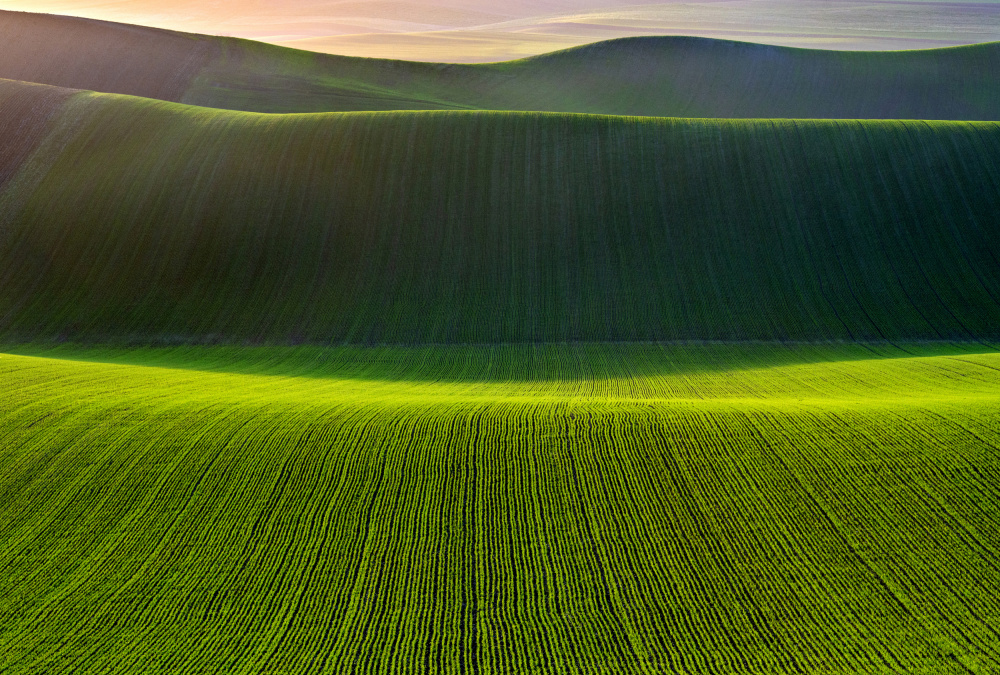 Terra Madre## von Nicola Figliuolo