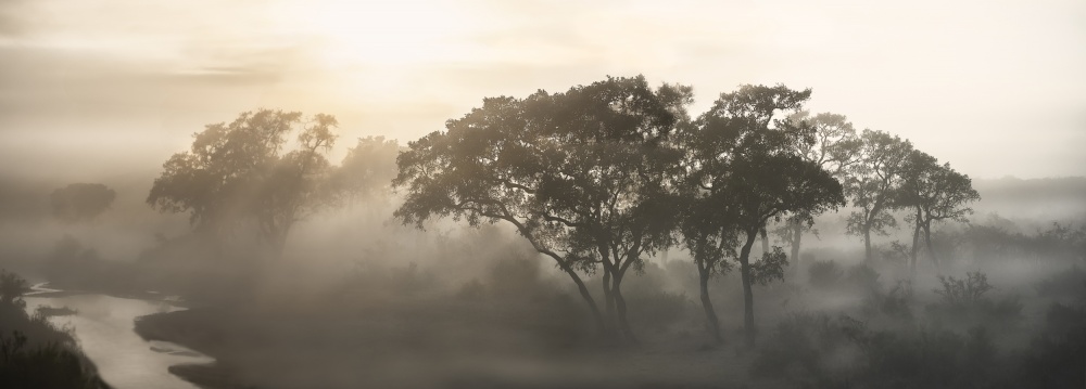 SAVANA SUNRISE von Nicola Molteni