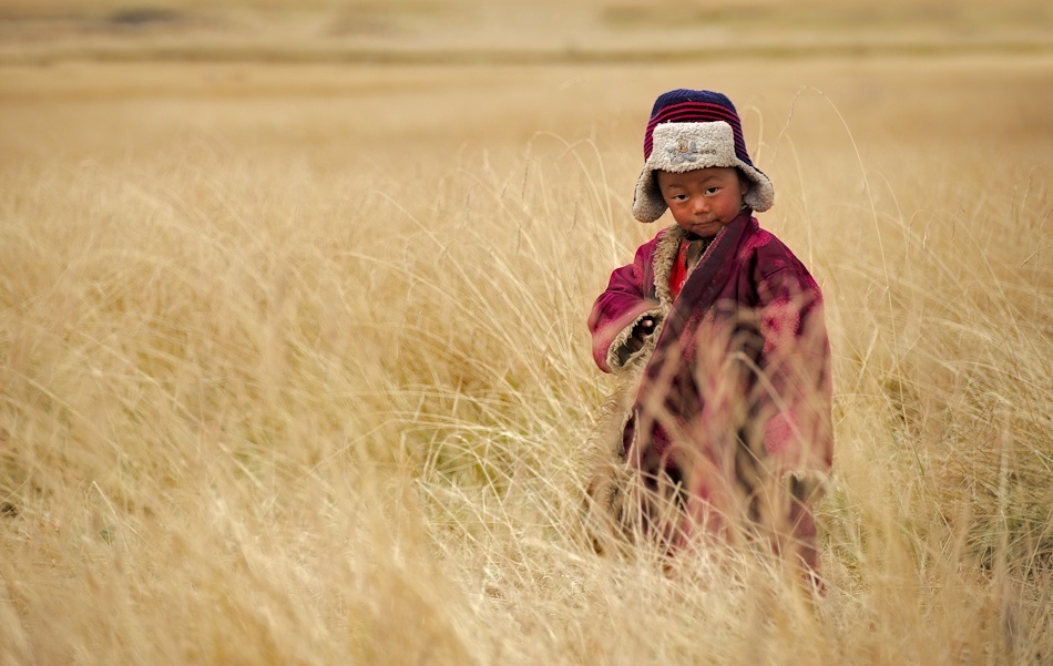 Stuck in the hay von Nicolas Marino