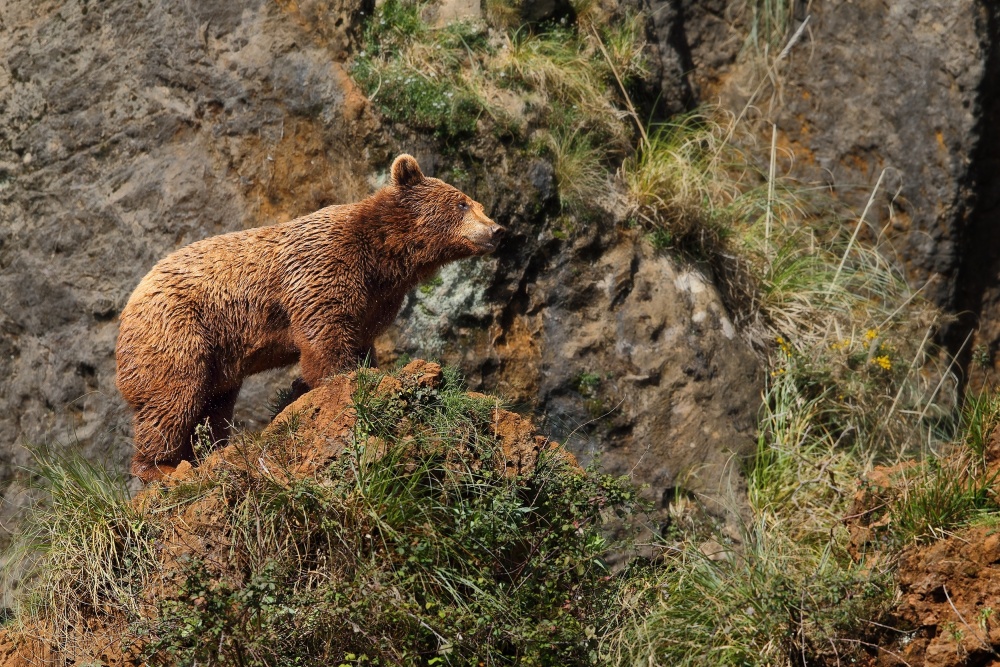 On top... von Nicolas Merino