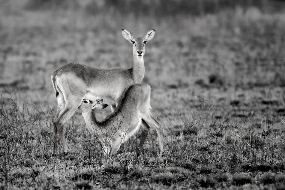 Tender moments von Nicolas Merino