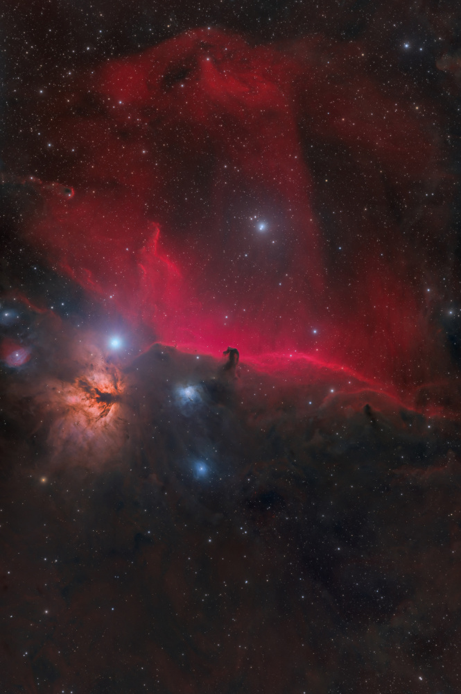 The Horsehead Nebula von Nicolas Rolland