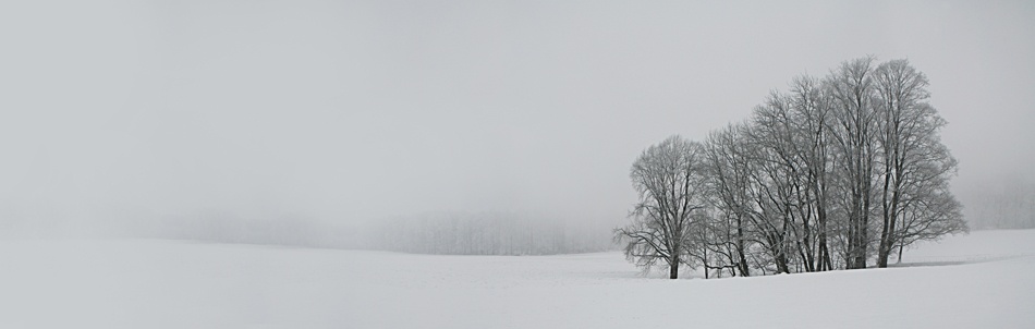 Albhochflaeche von Nicolas Schumacher