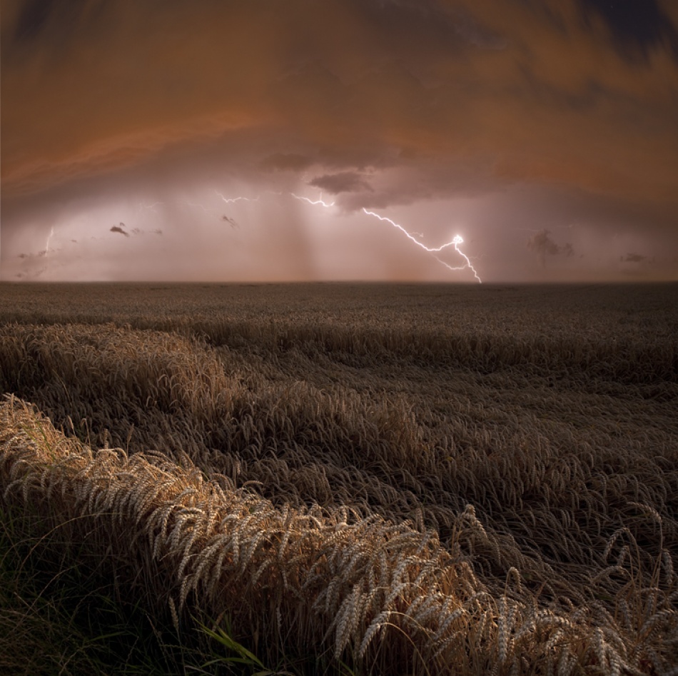 Harvest Lights von Nicolas Schumacher