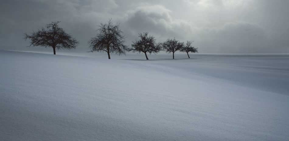 Schneeschauer von Nicolas Schumacher