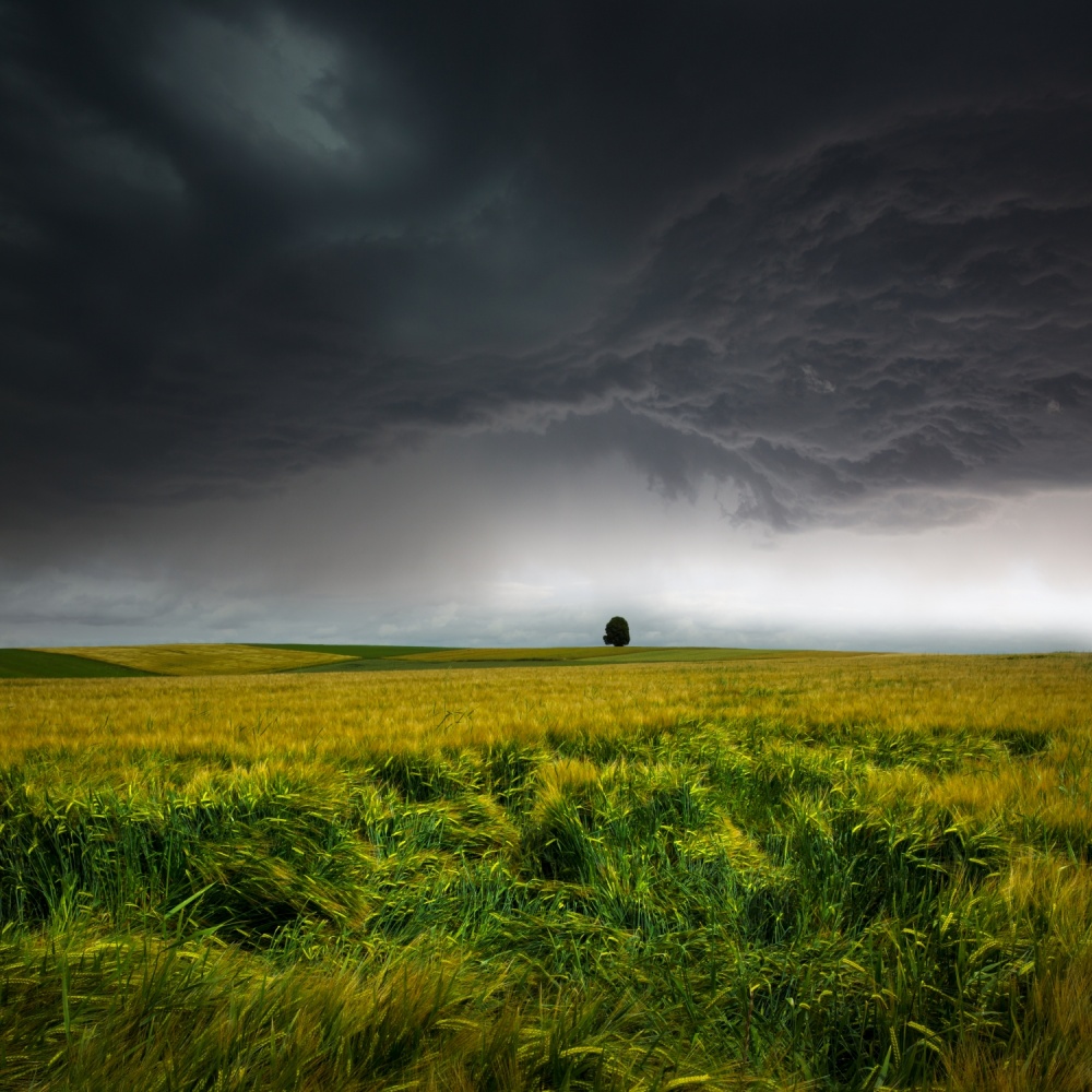 Sommergewitter von Nicolas Schumacher