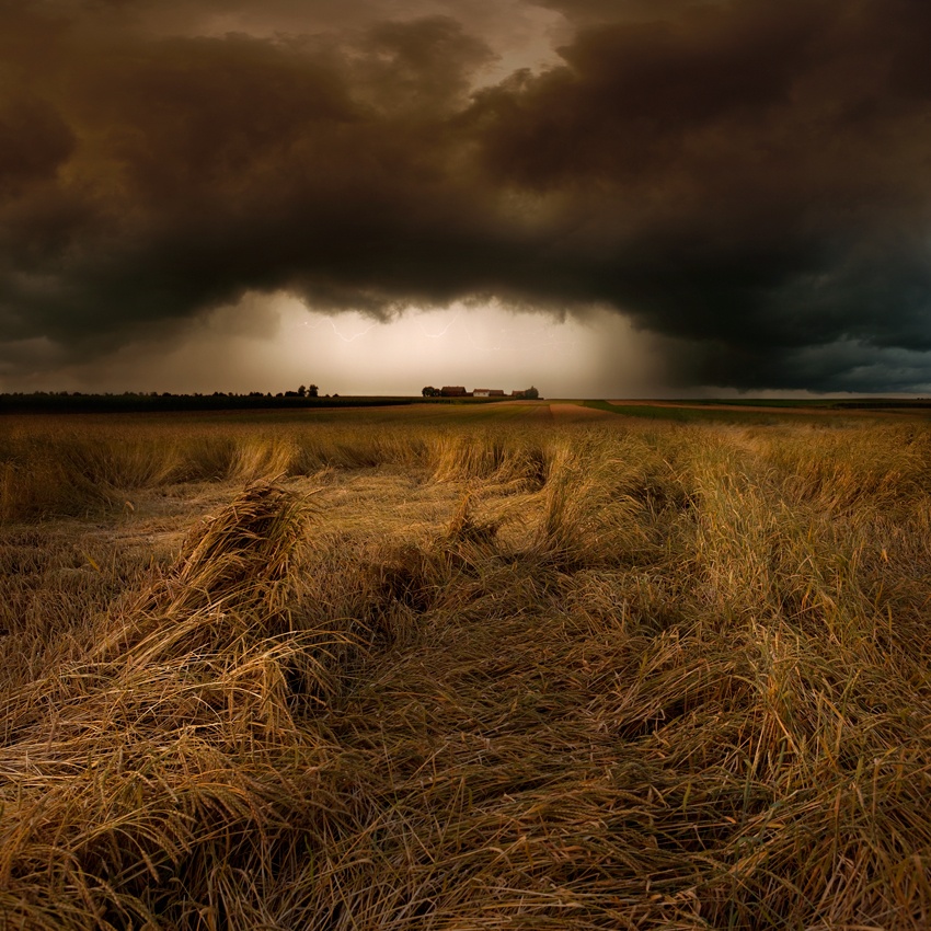 straw country von Nicolas Schumacher