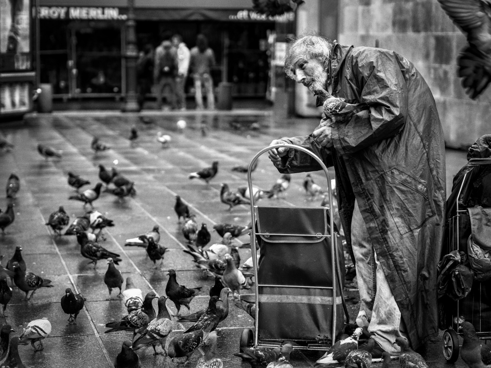 The pigeon man von Nicolas Winspeare