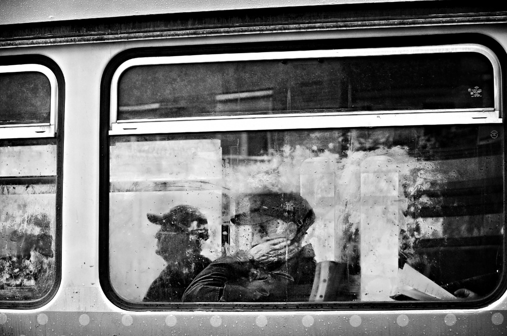 november passengers von Nicoleta Gabor