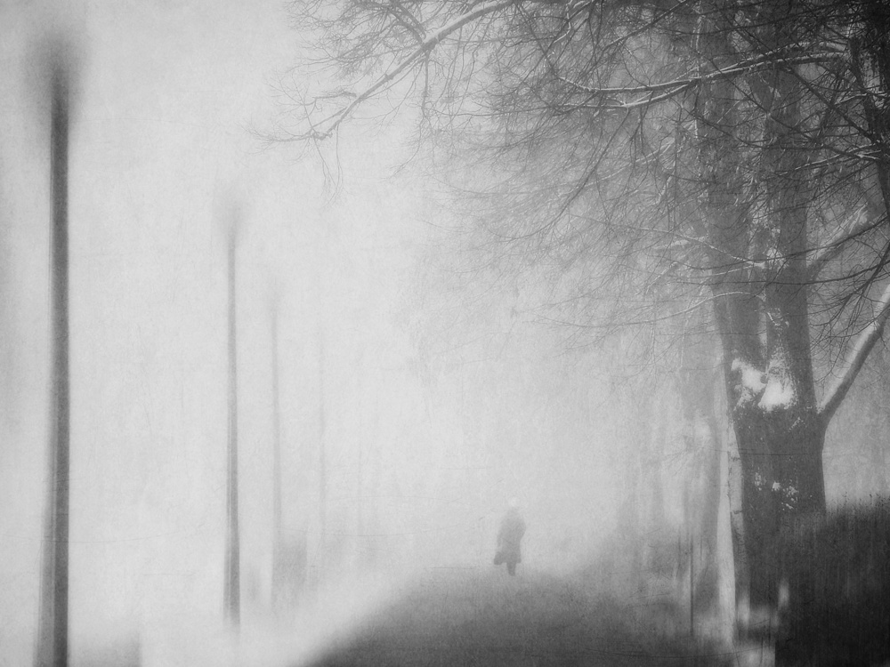 days of mist von Nicoleta Gabor