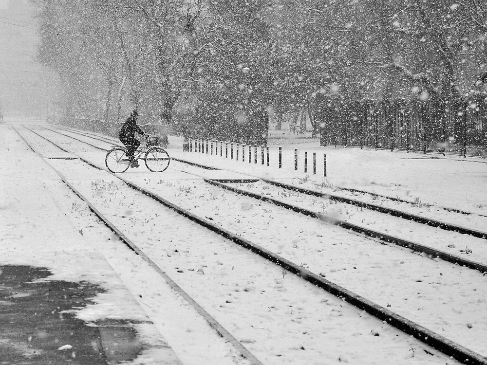 winter passengers von Nicoleta Gabor