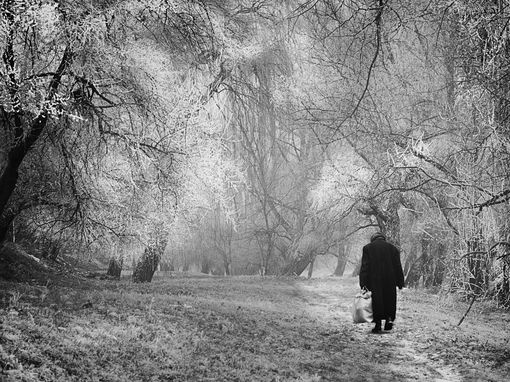 winter passengers von Nicoleta Gabor