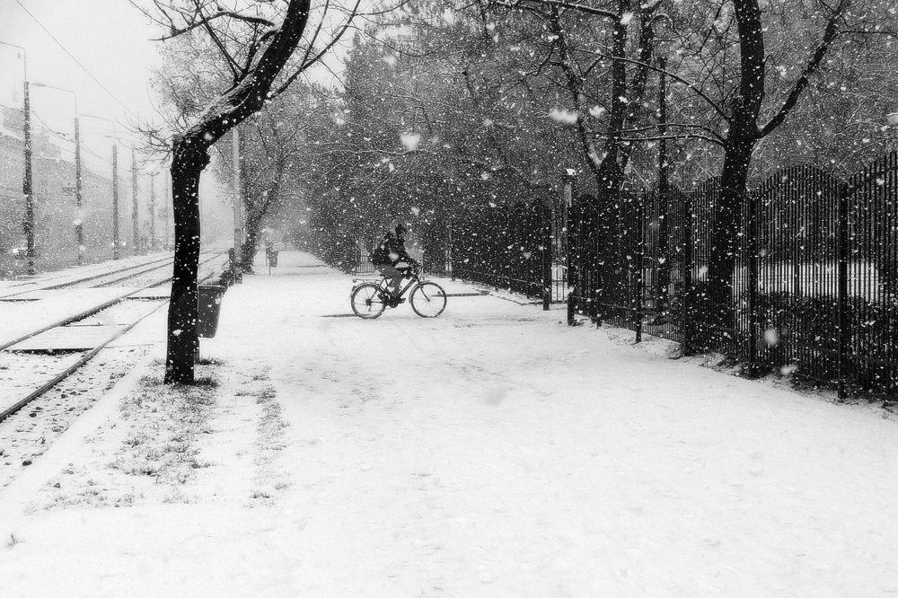 winter passengers von Nicoleta Gabor