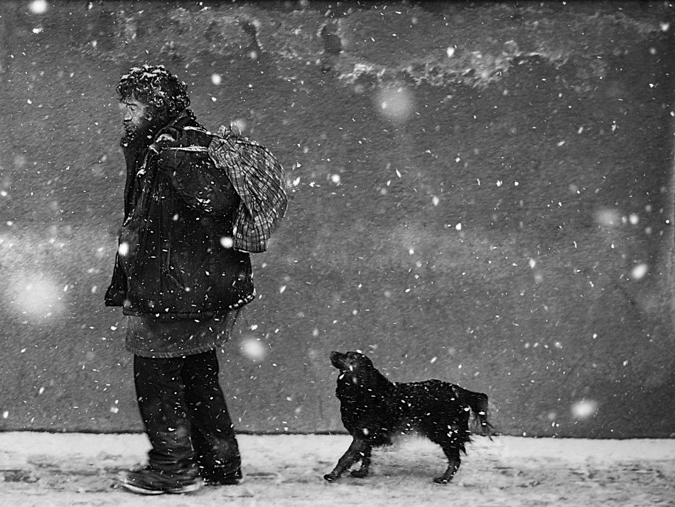 winter passengers. the guide von Nicoleta Gabor