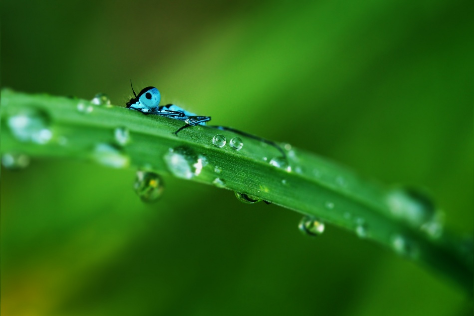 Hide and seek von Niels Christian Wulff