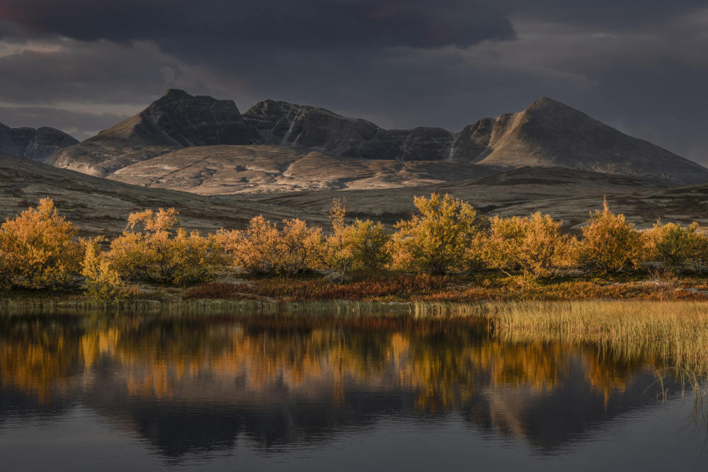 Golden autumn in Norway von Nina Pauli